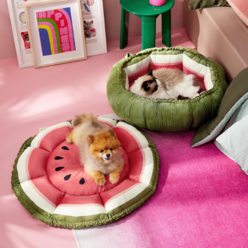 Cat Beds for Indoor Cats - Washable Cute Cat Beds with Versatile Dual-Use Design, Reversible Donut Pet Bed for Puppy and Kitten, 21x21x7 Inches