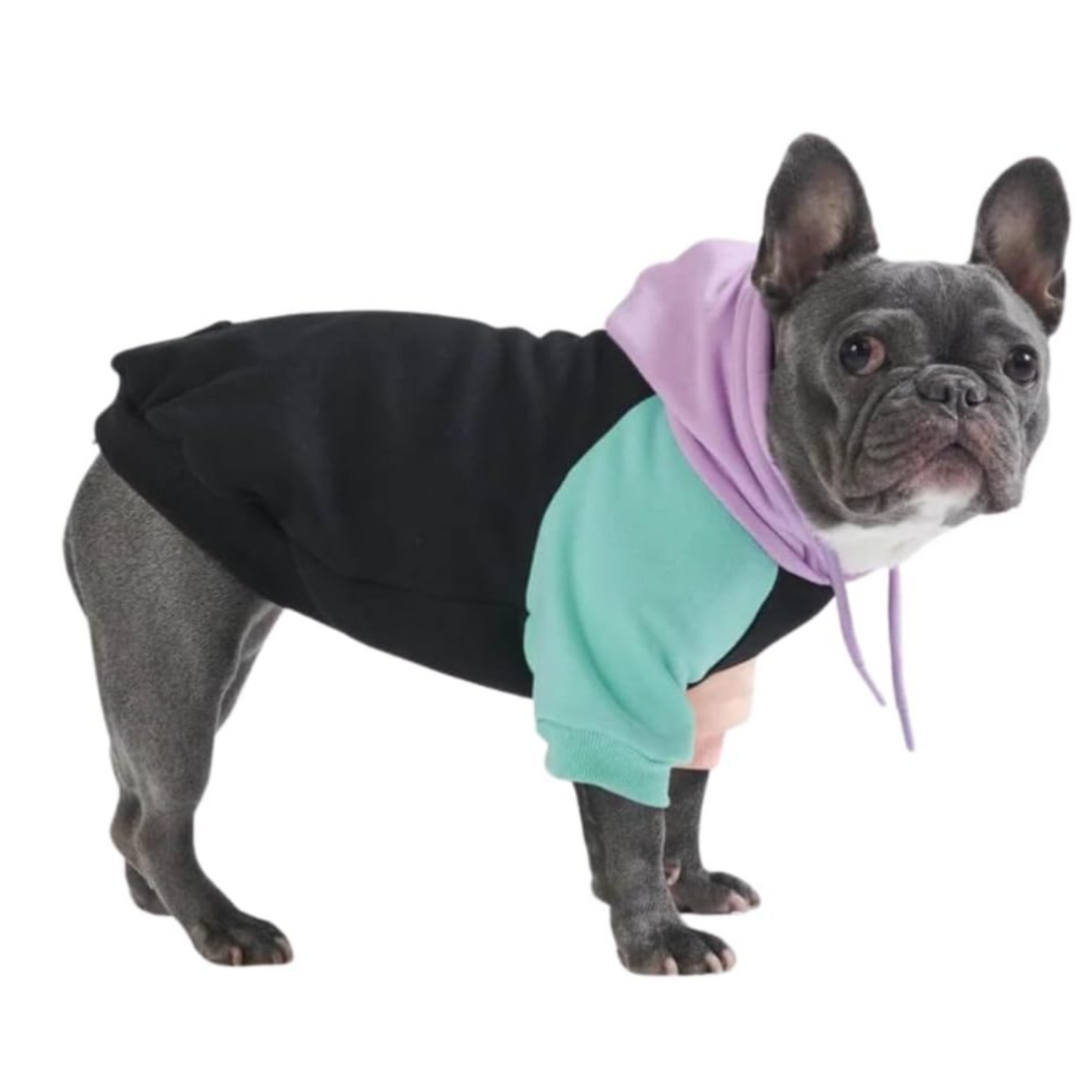 Dog Hoodie - Premium Quality, Buttery Soft, Superior Comfort and Fit, Calming Fleece Interior, Suitable for All Breeds - Cyber Punk - XL