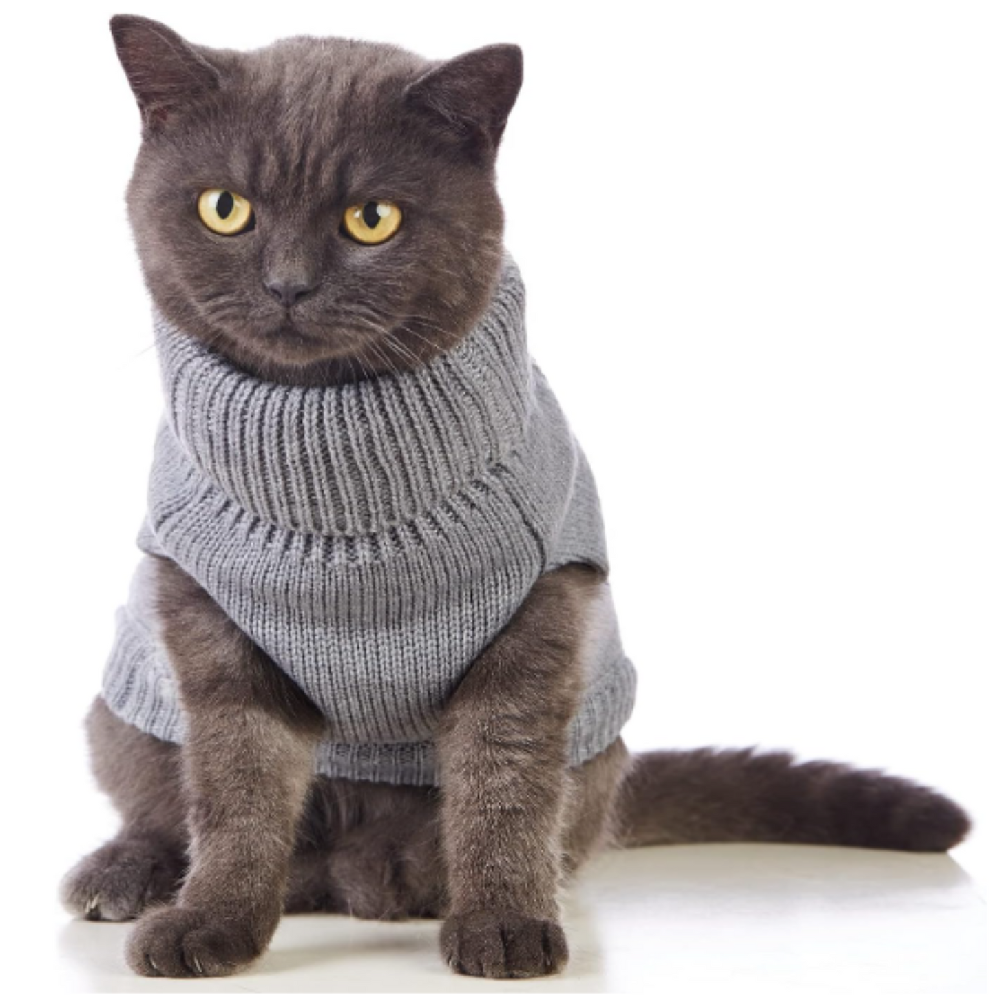 Cat Sweater 16 Color Turtleneck Knitted Sleeveless Dog Sweater Warm Winter Kitten Clothes Outfits for Cats or Small Dogs in Cold Season (Small, Grey)