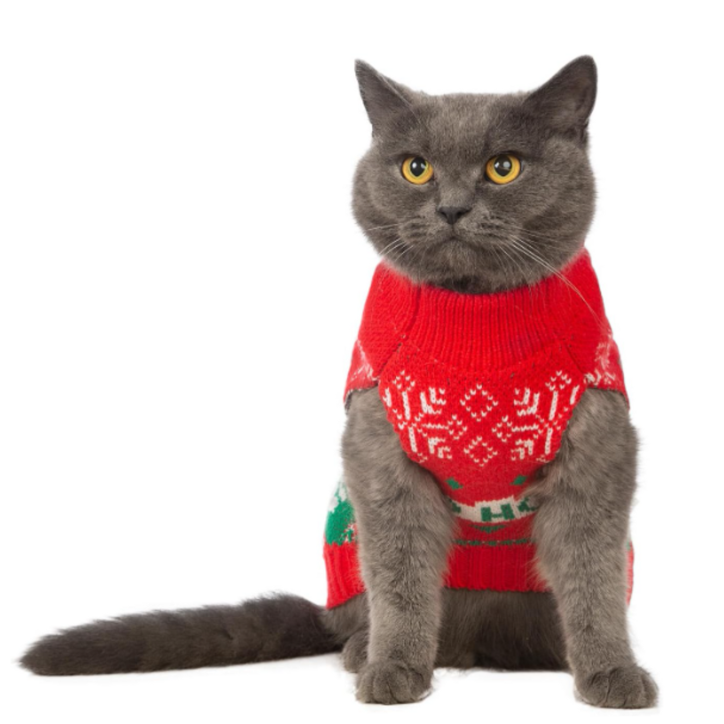 Cat Christmas Sweater 2 Packs Cat Sweaters for Cats Only Cat Christmas Outfit Warm Winter Knit Pullover Knitwear for Small Dogs(Small, Christmas)