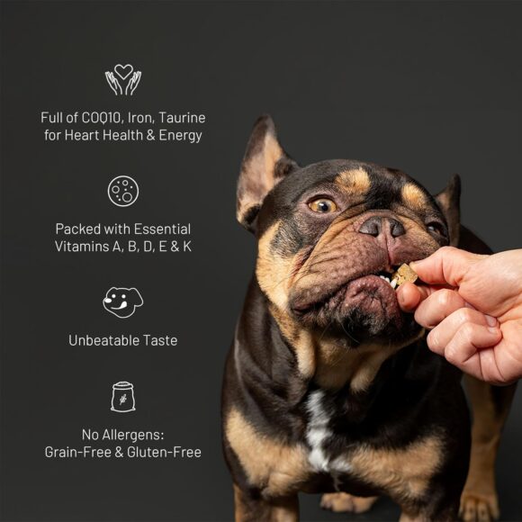 Get Joy Freeze Dried Superfood 100% Beef Heart Dog Treats, 4 Ounce Bag, Single Ingredient Organ Meat, High Protein, Heart Health, Energy, Muscle Repair, Grain Free & Gluten Free, Made in USA - Image 3
